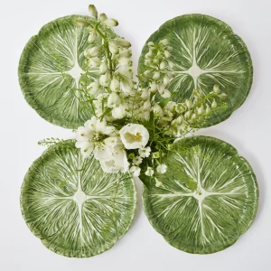 Hot Alpine Lettuce Starter Plate (Set Of 4) Starter Plates