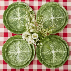 Hot Alpine Lettuce Starter Plate (Set Of 4) Starter Plates