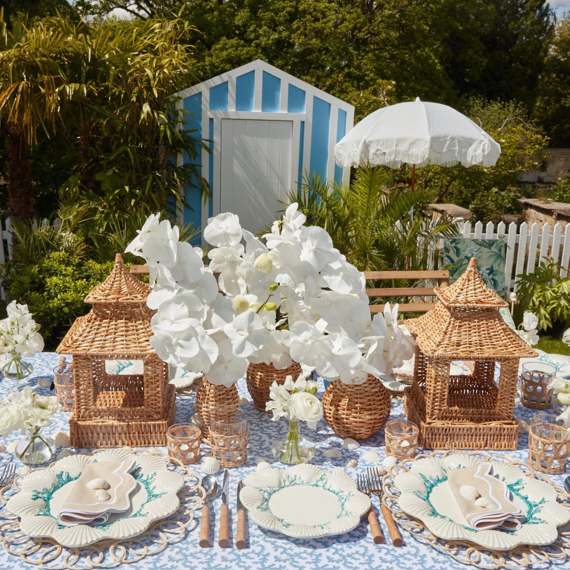 blue_coral_starter_plate_8.webp Hot Blue Coral Starter Plate Starter Plates