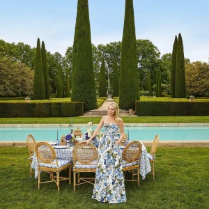 Store Blue Ikat Seat Pad Cushion Cushions