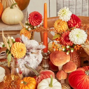 Clearance Burnt Orange Candles (Set Of 8) Candles