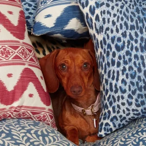 Sale Cobalt Blue Leopard Fabric Serena Fresson Fabrics