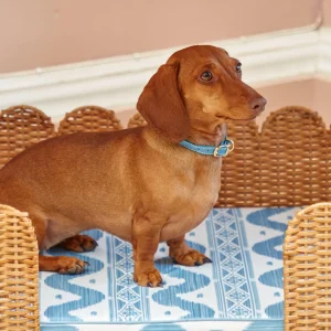 New Dorothy Pagoda Dog Bed Rattan Furniture