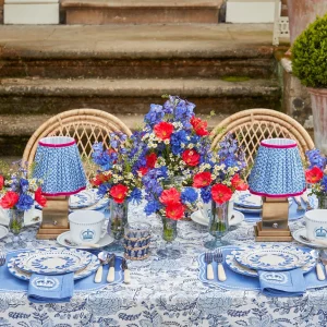 Flash Sale Eloise Blue Placemats & Coronation Napkins (Set Of 4) Table Linen Sets
