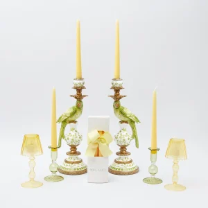 Clearance Green & Yellow Parrot Candlescape Candle Holders