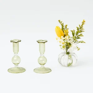 Clearance Green & Yellow Parrot Candlescape Candle Holders
