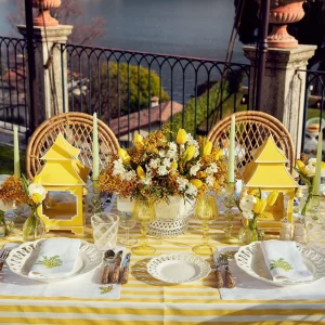 Cheap Passalacqua & Mimosa Linen Set Table Linen Sets