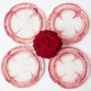 Best Pink Capri Lettuce Dinner Plate (Set Of 4) Lettuce Crockery