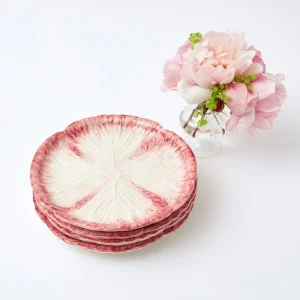 Cheap Pink Capri Lettuce Starter Plate Starter Plates