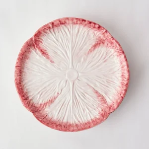 Cheap Pink Capri Lettuce Starter Plate Starter Plates