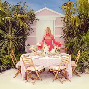 Clearance Pink Geometric Bamboo Dinner Plate (Set Of 4) Bamboo Crockery