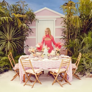 Cheap Pink Geometric Bamboo Dinner Plate Dinner Plates