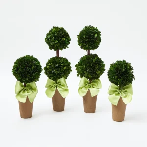 Fashion Potted Boxwood With Green Bow Decoration Set Decoration Sets