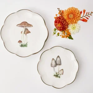 New Scalloped Mushroom Starter Plate (Grey) Starter Plates