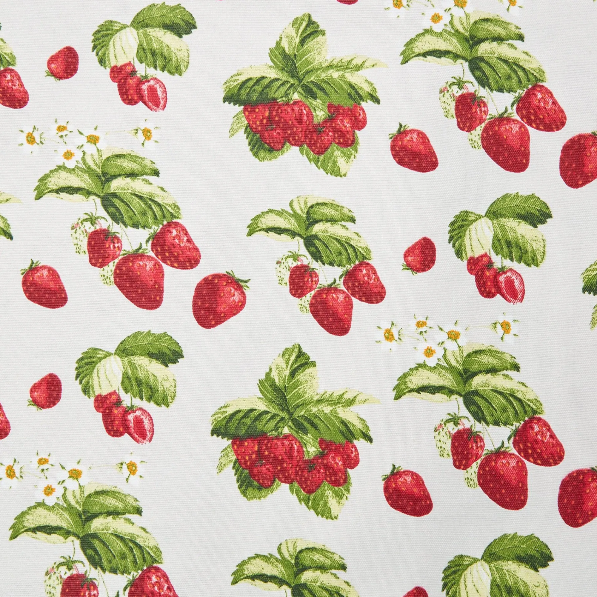 strawberry_tablecloth_6.webp Discount Strawberry Tablecloth Tablecloths