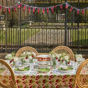 Discount Strawberry Tablecloth Tablecloths