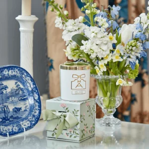 Sale Velvet Oak Scented Candle & Pot Set Candles