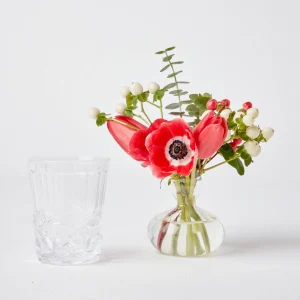 Fashion Venetian Glass Tumblers (Set Of 6) Glasses