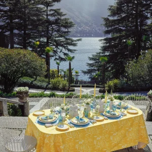 Cheap Yellow Capri Lettuce Starter Plate Starter Plates